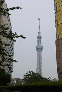 P1100180.JPG